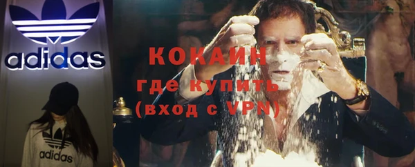 крисы Алексин