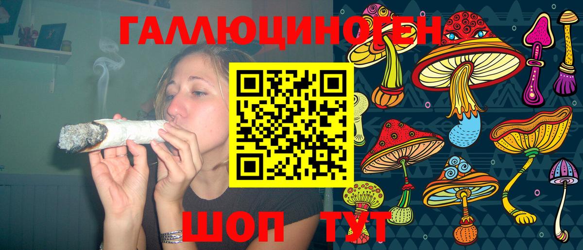 Люберцы  Псилоцибиновые грибы Psilocybe  Вход с VPN  Галлюциногенные грибы мицелий 
