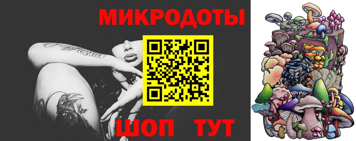 Псилоцибиновые грибы Cubensis Люберцы